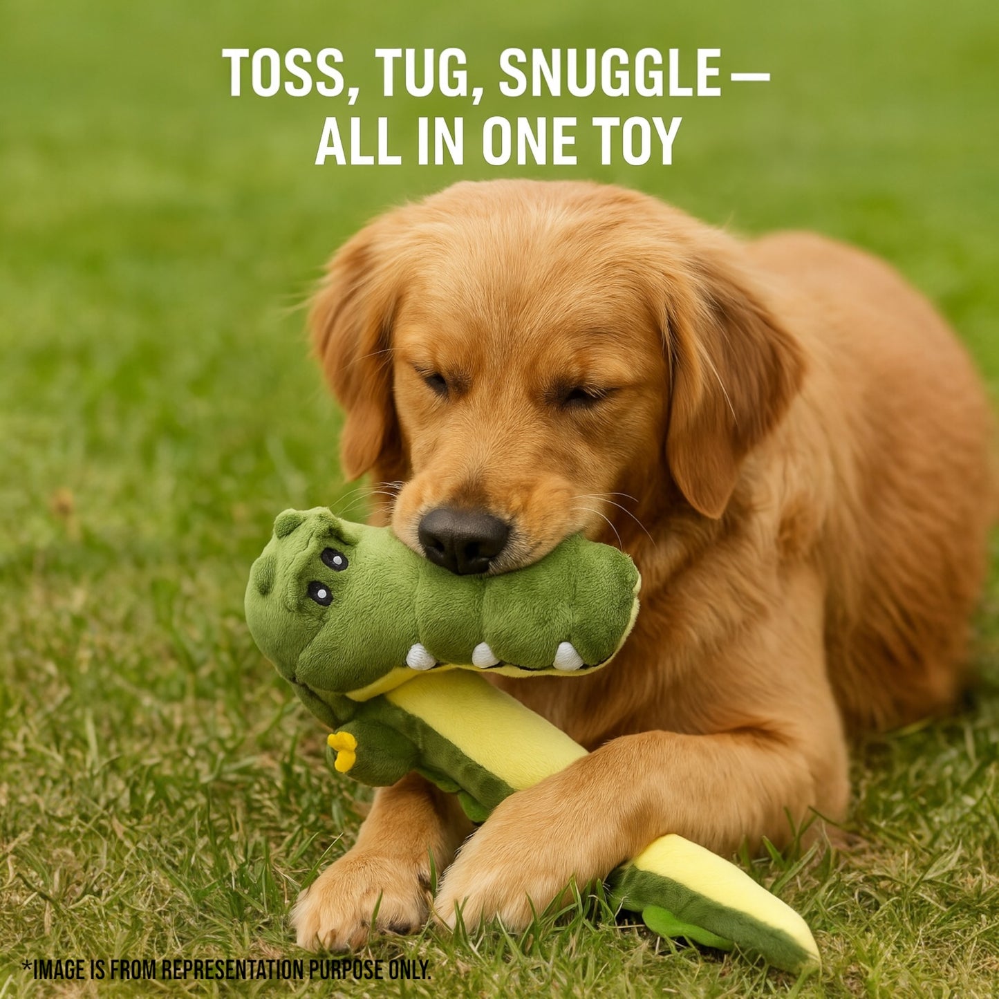 Gator Plush Toy