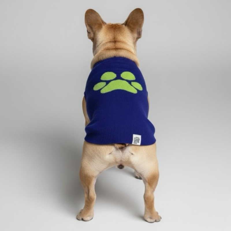 Bright Winter - High Paw  Jumper - Blue