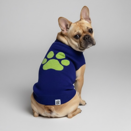 Bright Winter - High Paw  Jumper - Blue
