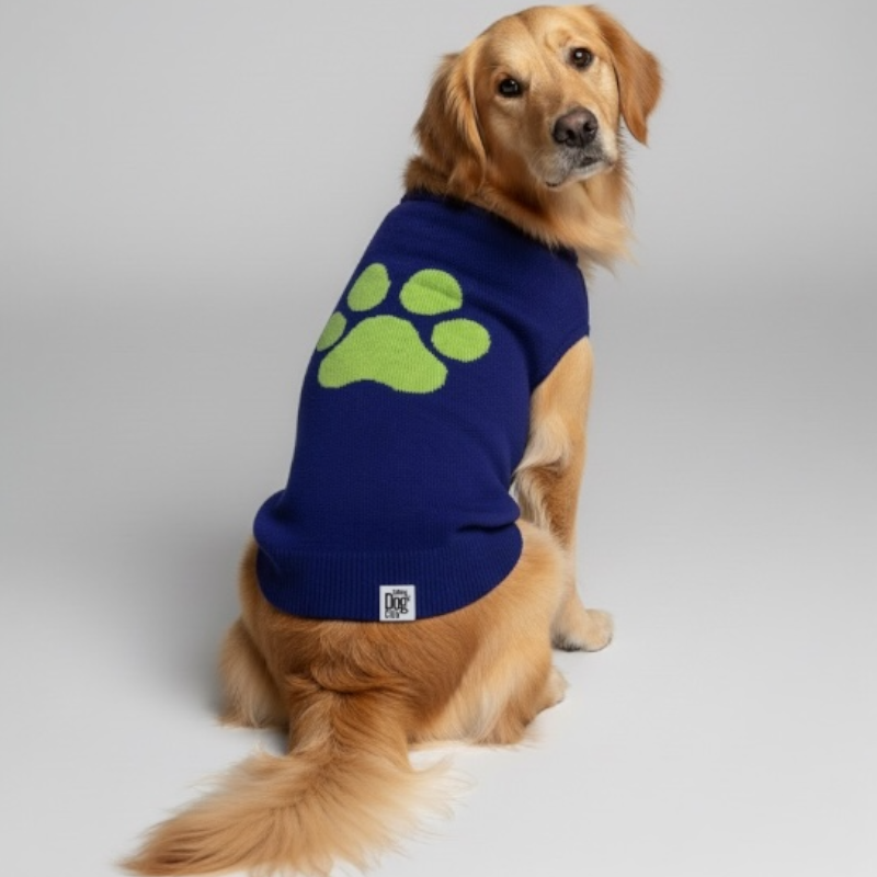 Bright Winter - High Paw  Jumper - Blue