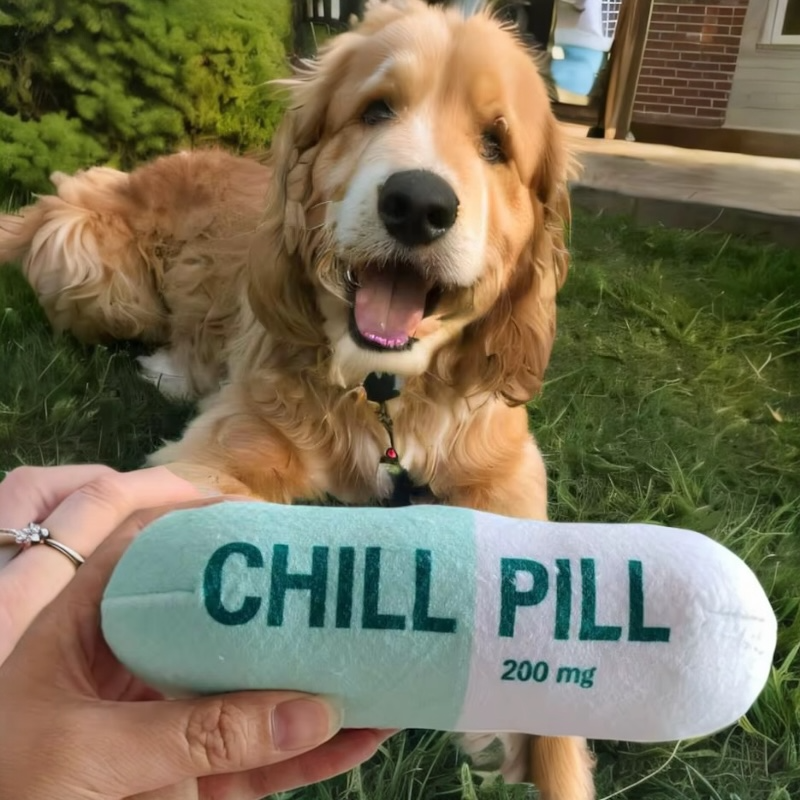 Chill Pill - Plush Toy for Dogs