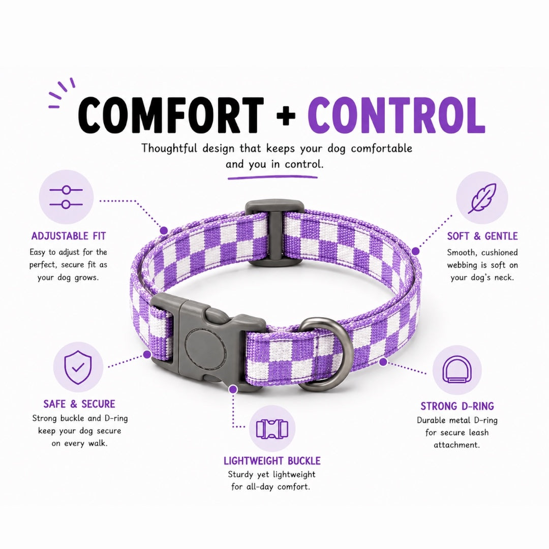 Checkmate Leash and Collar Combo - Purple