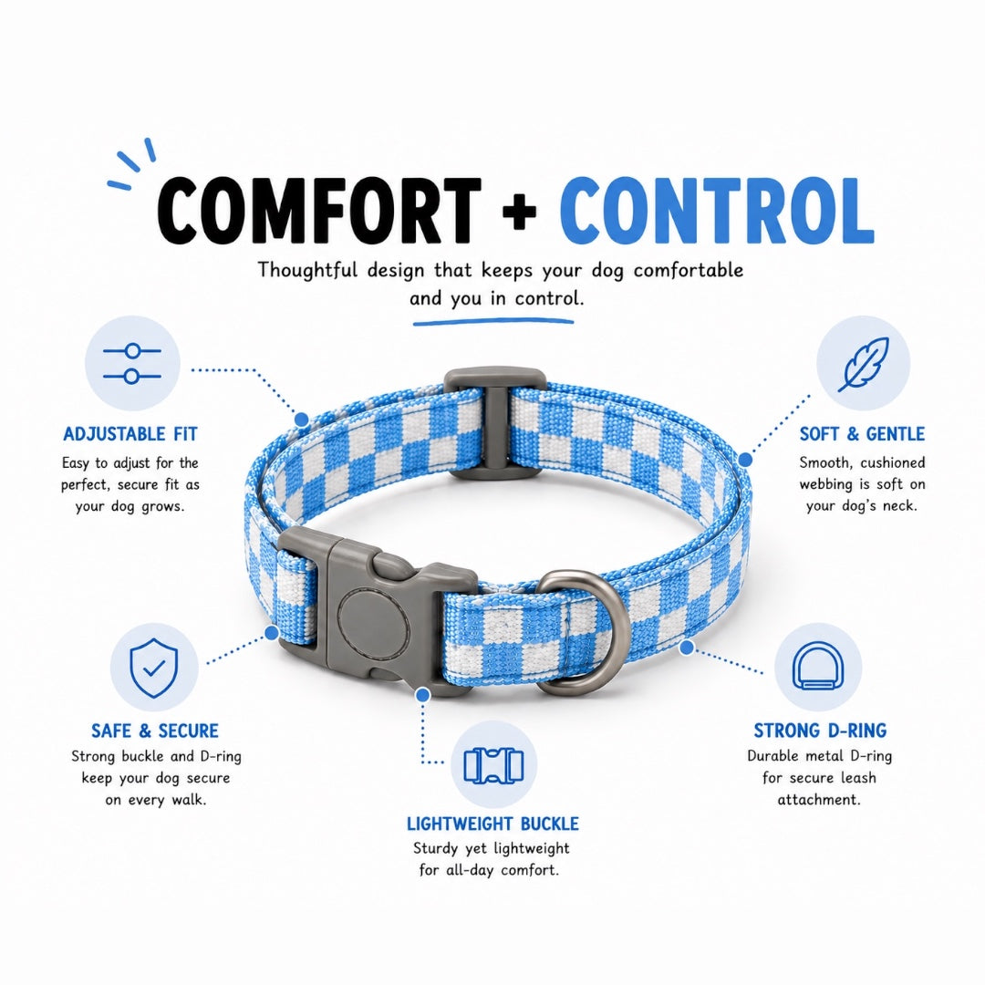 Checkmate Leash and Collar Combo - Blue