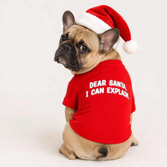 Santa, I can explain!Dog Tee