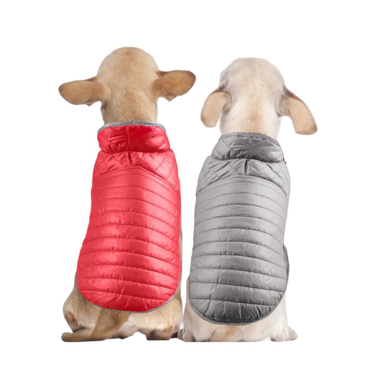 Double Trouble Reversibles - Silver/ Red Jacket - For Large dogs
