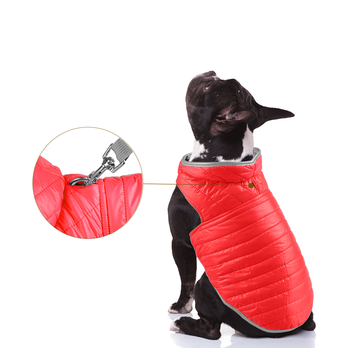 Double Trouble Reversibles - Red/Blue Jacket