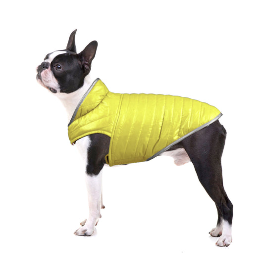 Double Trouble Reversibles - Blue/ Yellow Jacket