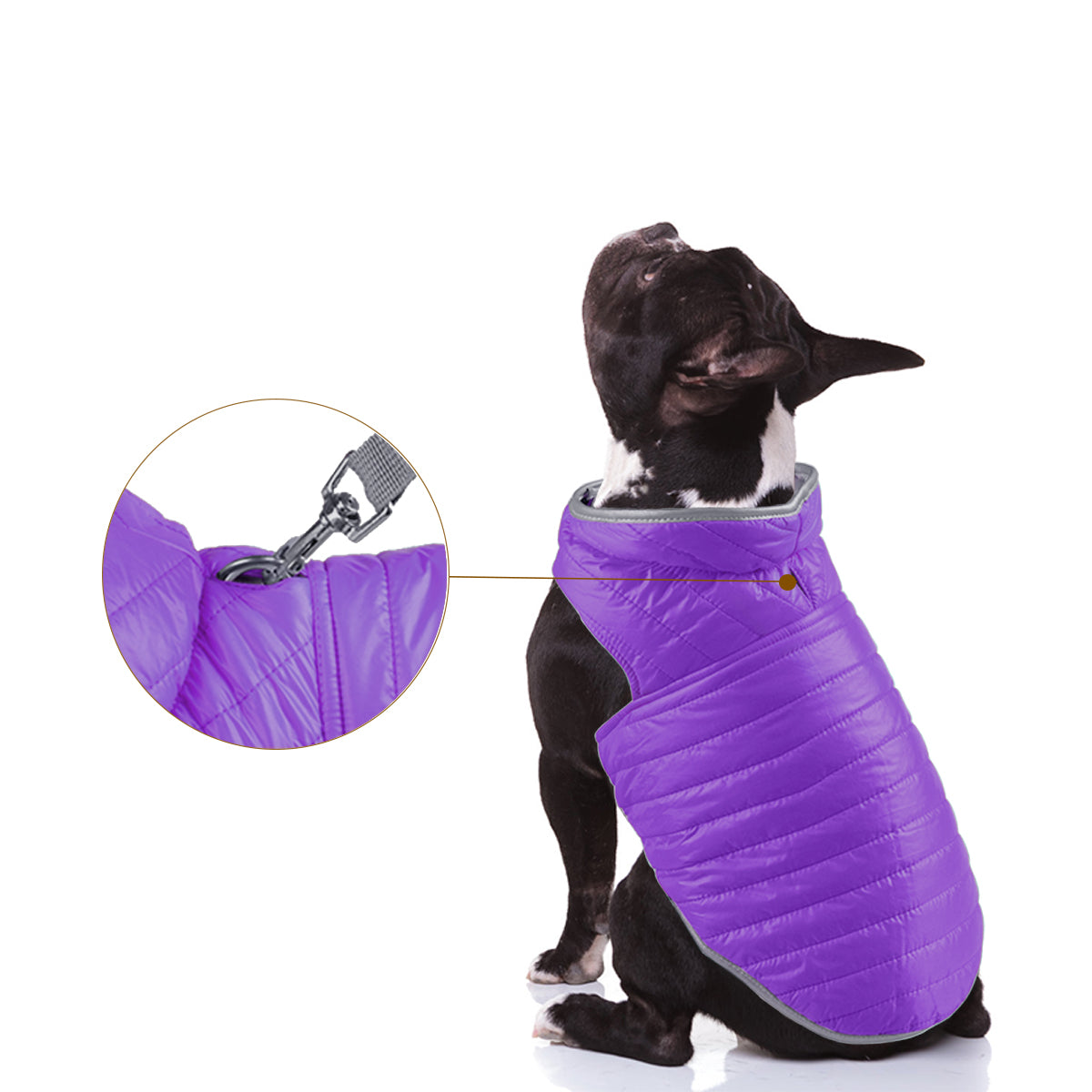 Double Trouble Reversibles - Purple/ Neon Green Jacket