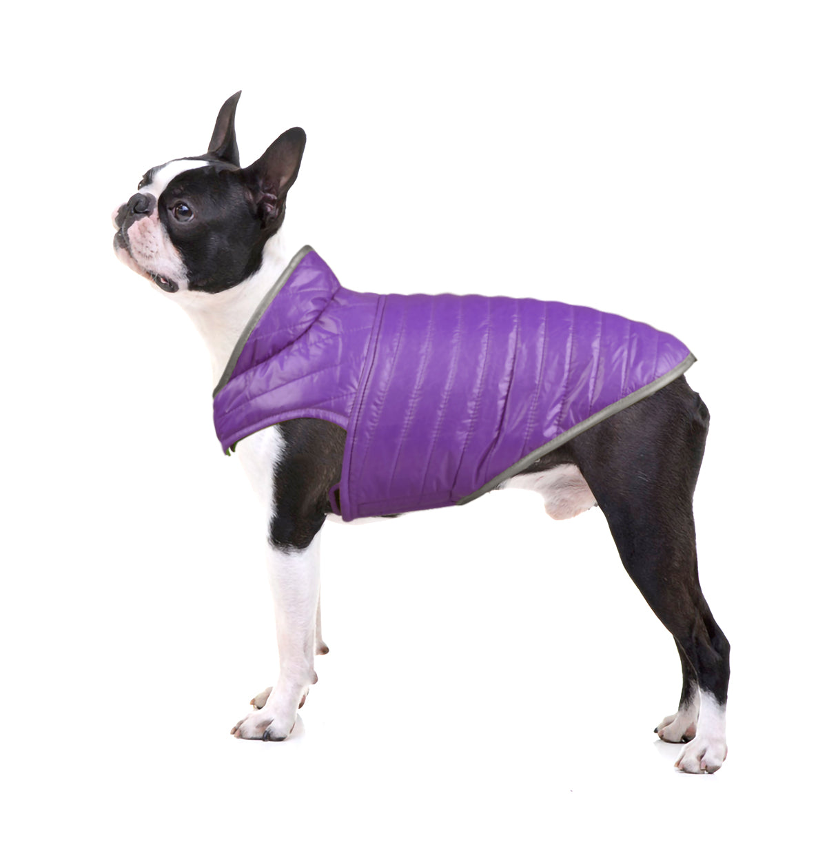 Double Trouble Reversibles - Purple/ Neon Green Jacket