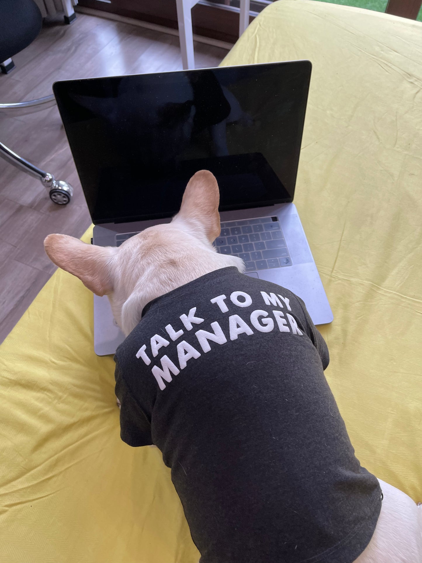 Talk to My Manager Dog Tee