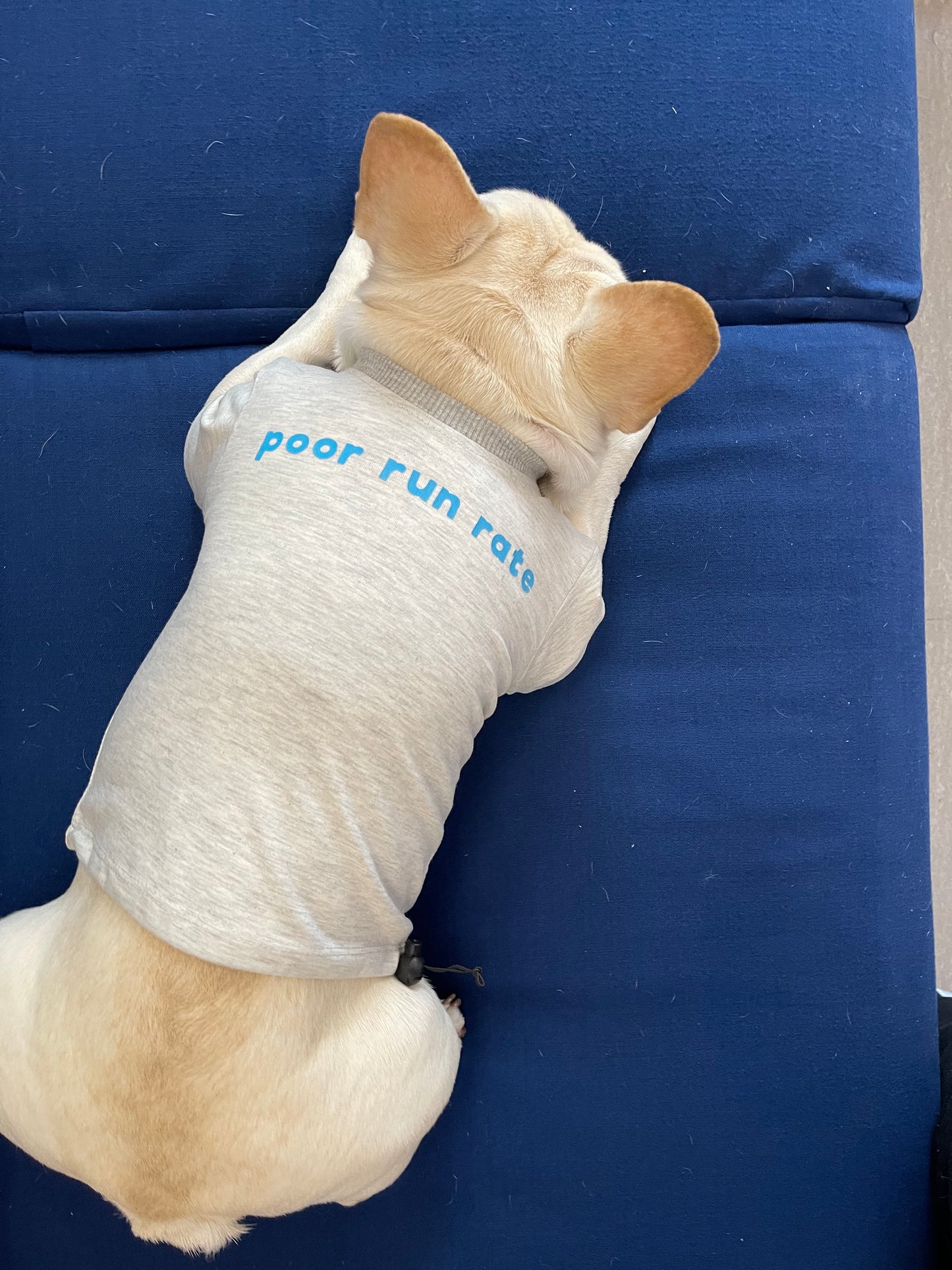 Poor Run Rate! Dog Tee