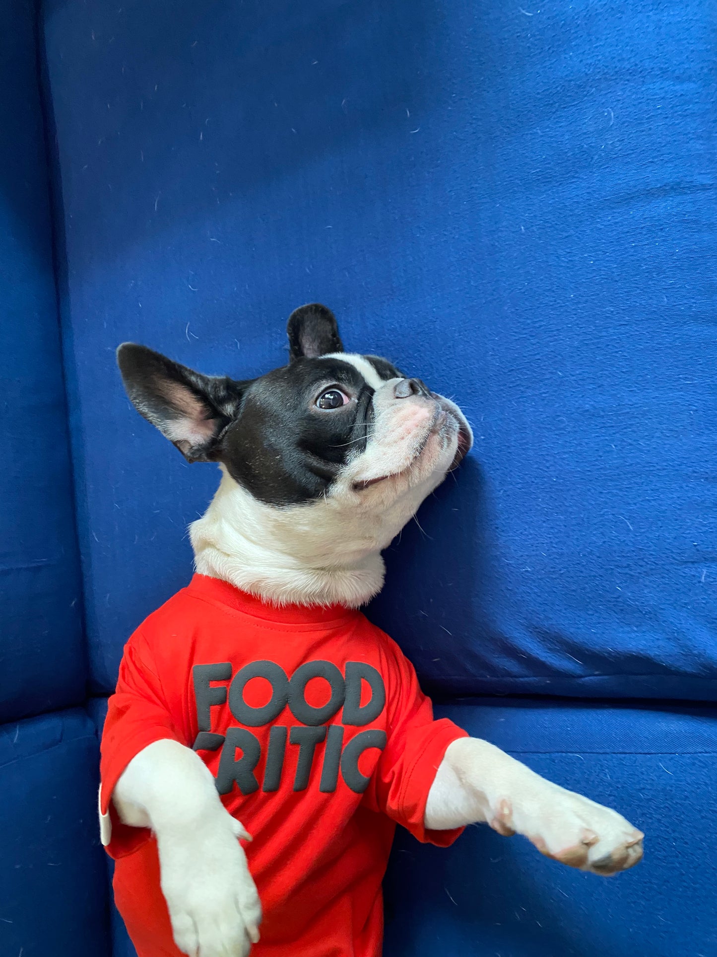 Food Critic Dog Tee