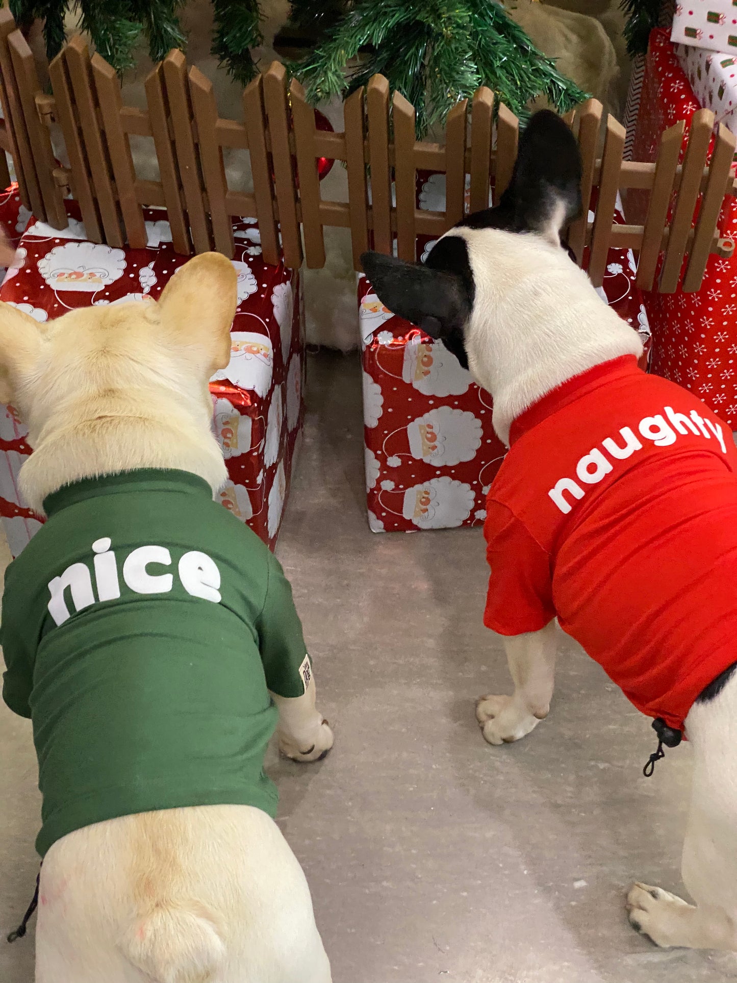 Naughty & Nice Combo Christmas Dog Tee