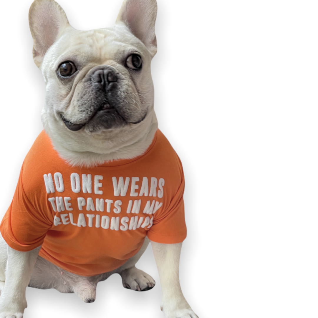 No One Wears Pants In My Relationships Dog Tee