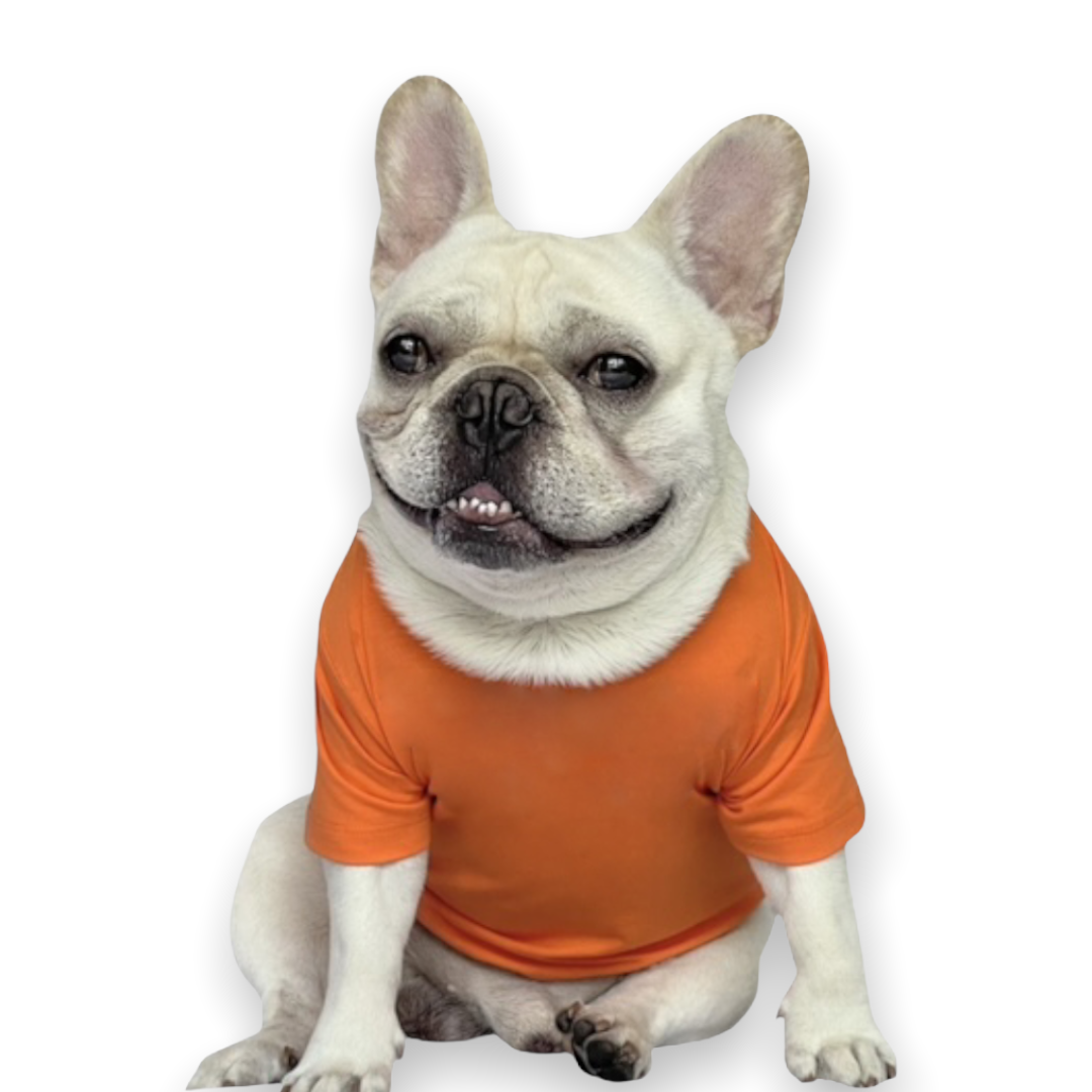 Ola! Orange Solid Dog Tee