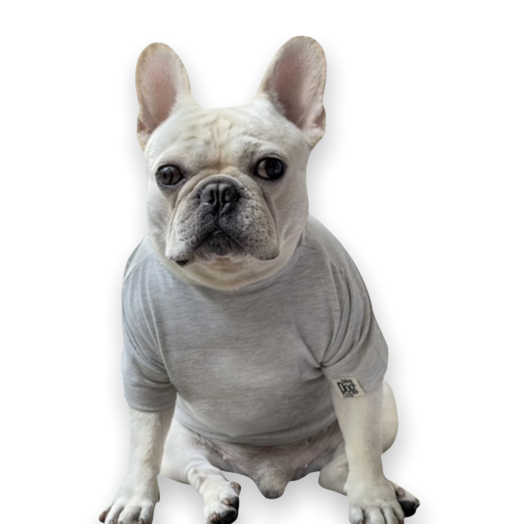 Quite Light Grey Solid Dog Tee