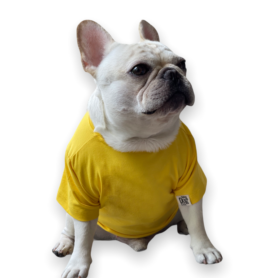 Hello! Yellow Solid Dog Tee